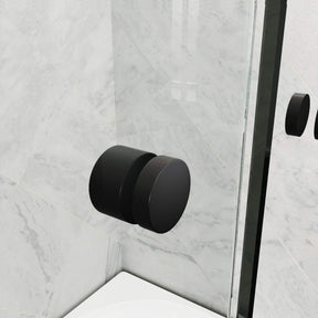 SUNNY SHOWER Black Finish Double Sliding Shower Doors Detail